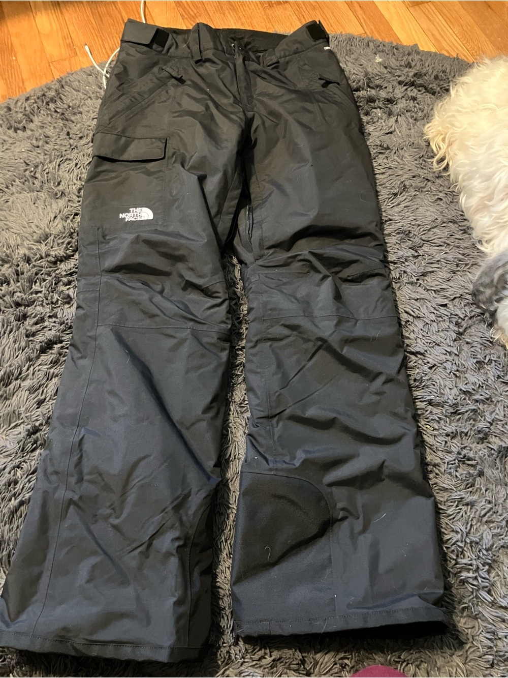 The North face women’s snow pants